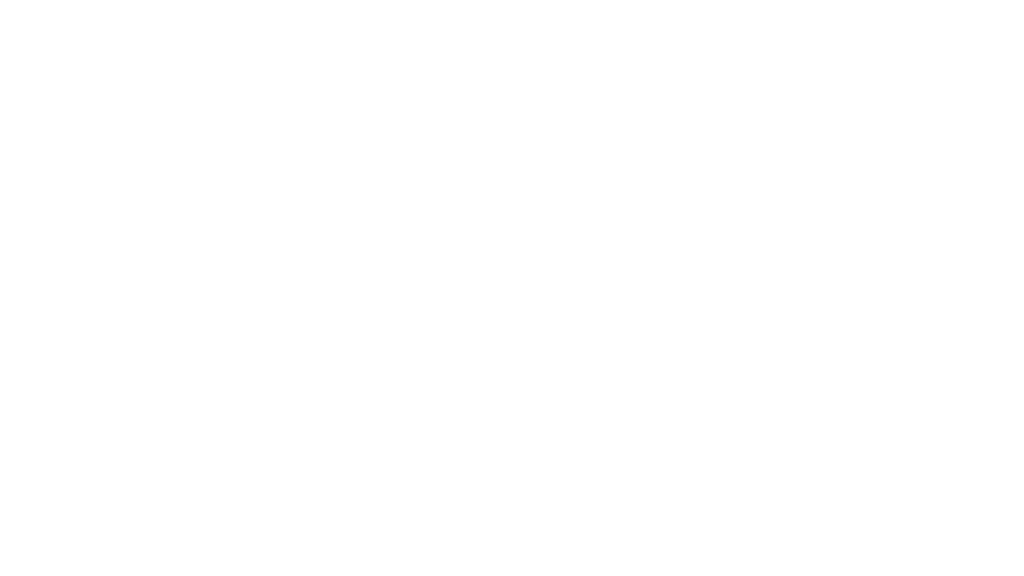 logo panenka